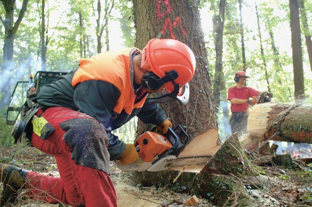 Sappie de bûcheron 80cm HUSQVARNA