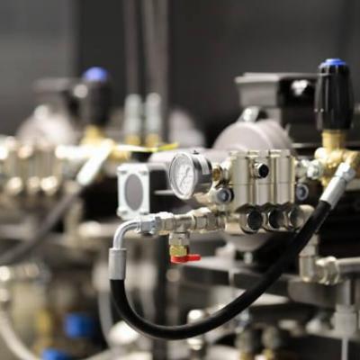 Images flexibles branches